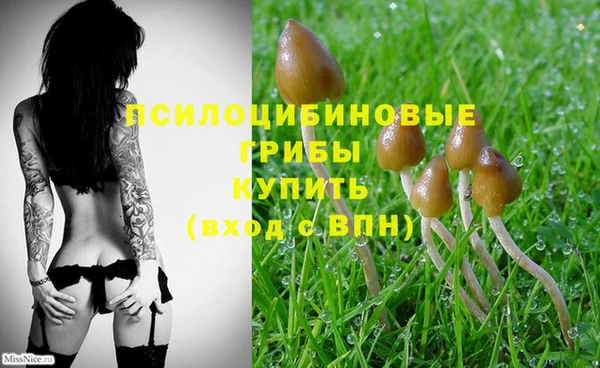 MESCALINE Новокубанск