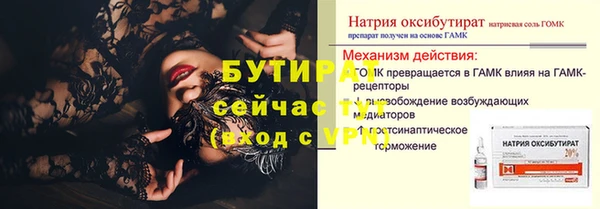 индика Новозыбков