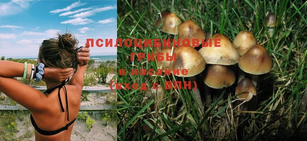 мяу мяу мука Нефтекумск