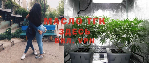 индика Новозыбков