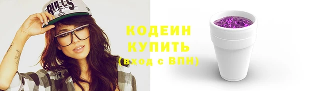 индика Новозыбков