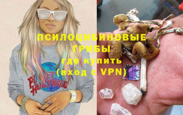 бошки Надым
