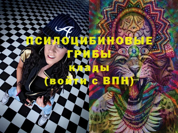 МДПВ Нея