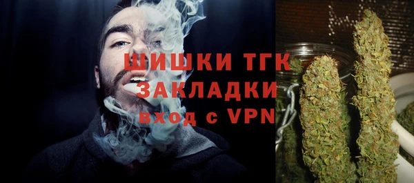 индика Новозыбков