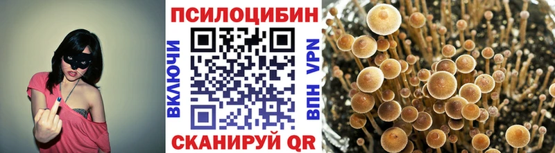 Псилоцибиновые грибы мухоморы  Кадников 